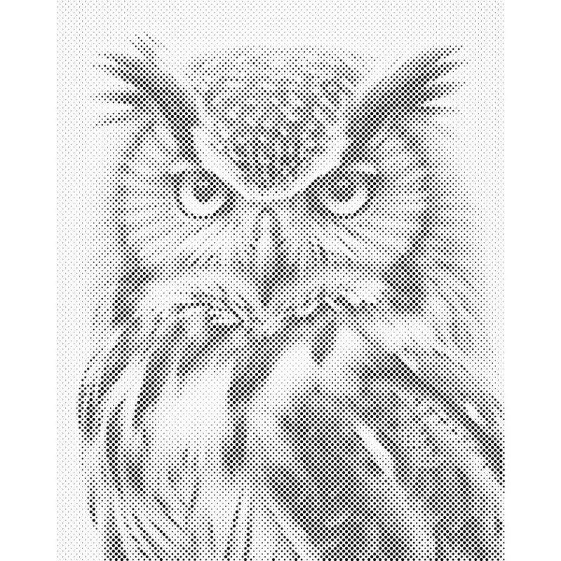 DOT048  OWL  40 x 50 cm  BLACK
